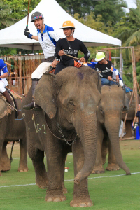 Pictures from 2016 King's Cup Elephant Polo in Bangkok, Thailand.