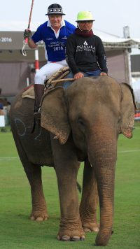 Pictures from 2016 King's Cup Elephant Polo in Bangkok, Thailand.