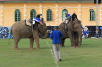 Pictures from 2016 King's Cup Elephant Polo in Bangkok, Thailand.