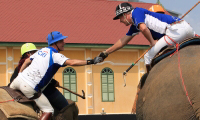 Pictures from 2016 King's Cup Elephant Polo in Bangkok, Thailand.