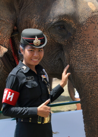 Pictures from 2016 King's Cup Elephant Polo in Bangkok, Thailand.