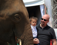 Pictures from 2016 King's Cup Elephant Polo in Bangkok, Thailand.