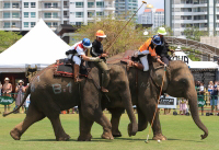 Pictures from 2016 King's Cup Elephant Polo in Bangkok, Thailand.