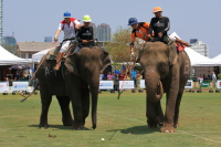 Pictures from 2016 King's Cup Elephant Polo in Bangkok, Thailand.