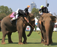 Pictures from 2016 King's Cup Elephant Polo in Bangkok, Thailand.