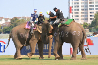 Pictures from 2016 King's Cup Elephant Polo in Bangkok, Thailand.