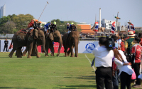 Pictures from 2016 King's Cup Elephant Polo in Bangkok, Thailand.