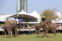 Pictures from 2016 King's Cup Elephant Polo in Bangkok, Thailand.