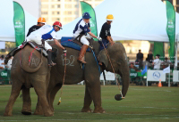 Pictures from 2017 King's Cup Elephant Polo in Bangkok, Thailand.