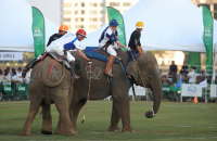 Pictures from 2017 King's Cup Elephant Polo in Bangkok, Thailand.