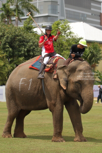 Pictures from 2017 King's Cup Elephant Polo in Bangkok, Thailand.