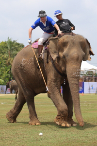 Pictures from 2017 King's Cup Elephant Polo in Bangkok, Thailand.