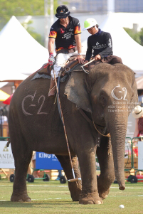 Pictures from 2017 King's Cup Elephant Polo in Bangkok, Thailand.