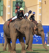 Pictures from 2017 King's Cup Elephant Polo in Bangkok, Thailand.