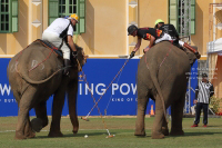 Pictures from 2017 King's Cup Elephant Polo in Bangkok, Thailand.