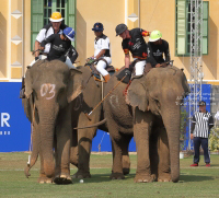 Pictures from 2017 King's Cup Elephant Polo in Bangkok, Thailand.