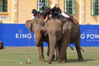 Pictures from 2017 King's Cup Elephant Polo in Bangkok, Thailand.