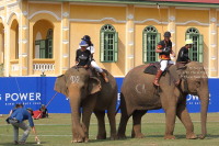 Pictures from 2017 King's Cup Elephant Polo in Bangkok, Thailand.