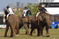 Pictures from 2017 King's Cup Elephant Polo in Bangkok, Thailand.