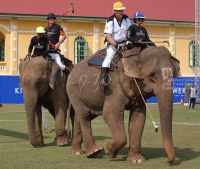 Pictures from 2017 King's Cup Elephant Polo in Bangkok, Thailand.