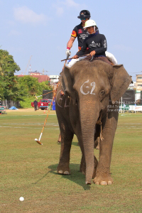 Pictures from 2017 King's Cup Elephant Polo in Bangkok, Thailand.