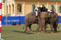 Pictures from 2017 King's Cup Elephant Polo in Bangkok, Thailand.