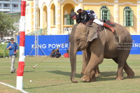 Pictures from 2017 King's Cup Elephant Polo in Bangkok, Thailand.