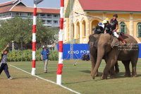 Pictures from 2017 King's Cup Elephant Polo in Bangkok, Thailand.