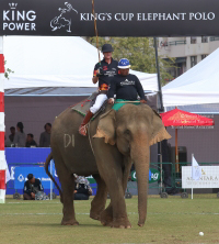 Pictures from 2017 King's Cup Elephant Polo in Bangkok, Thailand.