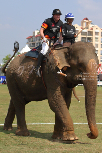 Pictures from 2017 King's Cup Elephant Polo in Bangkok, Thailand.