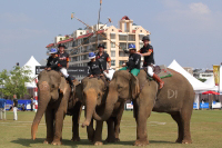 Pictures from 2017 King's Cup Elephant Polo in Bangkok, Thailand.