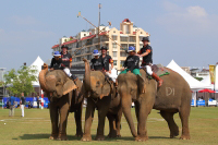 Pictures from 2017 King's Cup Elephant Polo in Bangkok, Thailand.