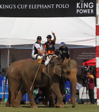 Pictures from 2017 King's Cup Elephant Polo in Bangkok, Thailand.