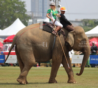 Pictures from 2017 King's Cup Elephant Polo in Bangkok, Thailand.