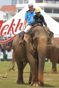 Pictures from 2017 King's Cup Elephant Polo in Bangkok, Thailand.