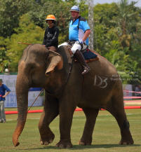 Pictures from 2017 King's Cup Elephant Polo in Bangkok, Thailand.