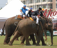 Pictures from 2017 King's Cup Elephant Polo in Bangkok, Thailand.