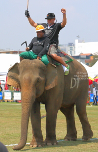 Pictures from 2017 King's Cup Elephant Polo in Bangkok, Thailand.