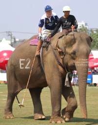 Pictures from 2017 King's Cup Elephant Polo in Bangkok, Thailand.