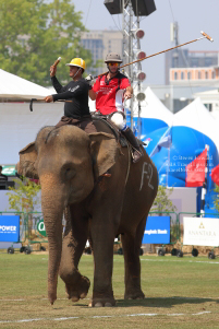 Pictures from 2017 King's Cup Elephant Polo in Bangkok, Thailand.