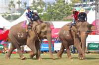 Pictures from 2017 King's Cup Elephant Polo in Bangkok, Thailand.