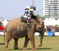 Pictures from 2017 King's Cup Elephant Polo in Bangkok, Thailand.