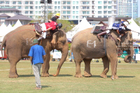 Pictures from 2017 King's Cup Elephant Polo in Bangkok, Thailand.