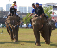 Pictures from 2017 King's Cup Elephant Polo in Bangkok, Thailand.