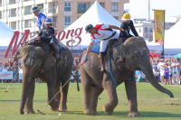 Pictures from 2017 King's Cup Elephant Polo in Bangkok, Thailand.