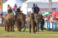 Pictures from 2017 King's Cup Elephant Polo in Bangkok, Thailand.