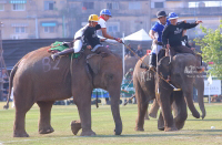 Pictures from 2017 King's Cup Elephant Polo in Bangkok, Thailand.