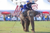 Pictures from 2017 King's Cup Elephant Polo in Bangkok, Thailand.