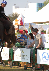 Pictures from 2017 King's Cup Elephant Polo in Bangkok, Thailand.