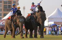 Pictures from 2017 King's Cup Elephant Polo in Bangkok, Thailand.